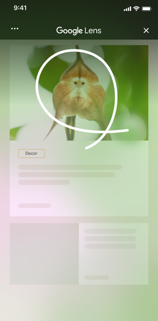 On a home decor site with an image of a unique flower, an iphone user opens the page tools and selects 